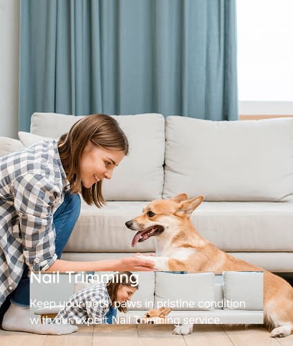 Veterinarias & Servicios de Salud