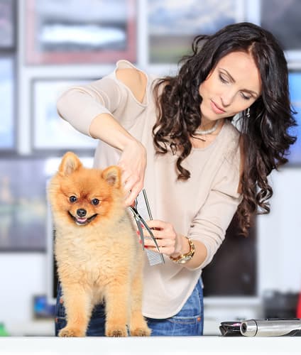 Petshops & Tiendas de Mascotas